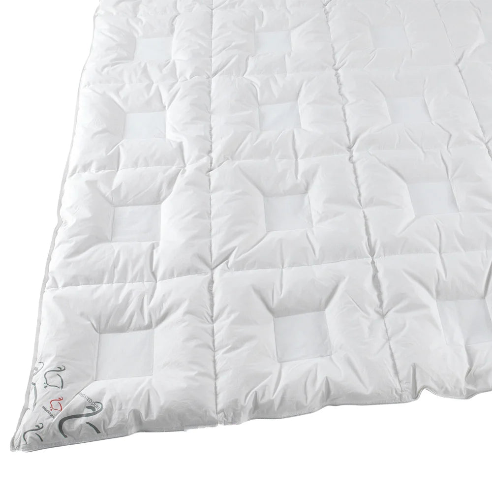 Sopire | Climate Light | Moskusdun | 240 x 220 cm